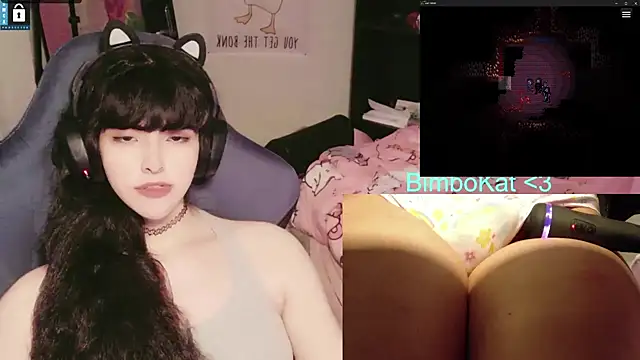 BimboCat webcam