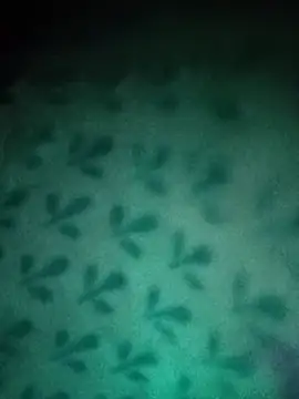Cut_sweety67 webcam