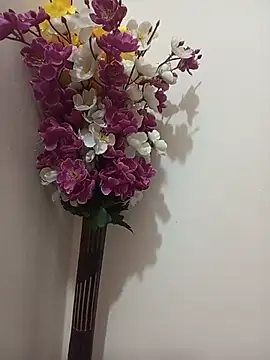 Tanha18 🎾 naked cam