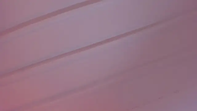 EvelynBlak1