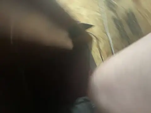 LivedVolume webcam