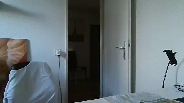 alpha-hunk webcam