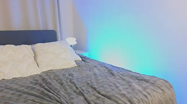 e1v1s webcam