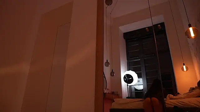 ibiddi webcam