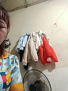 Sana-vn webcam