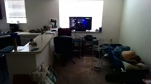 Q1357q webcam