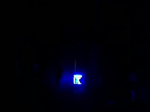 morbuscba webcam