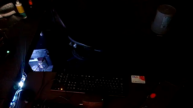 BustedCall webcam