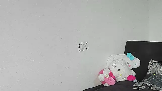 Eirlysx webcam