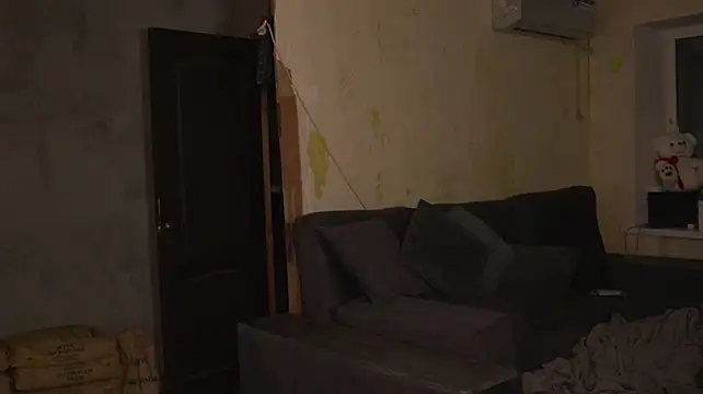 lis_silver webcam