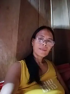 toyo_668 webcam