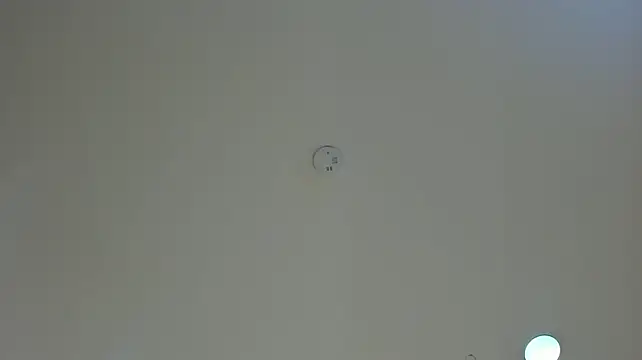 victoriavelazquez webcam