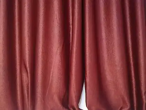 sexylenvix webcam