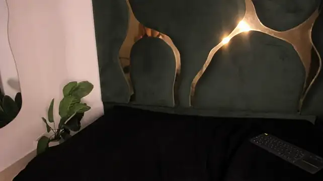 Katlin_asm webcam
