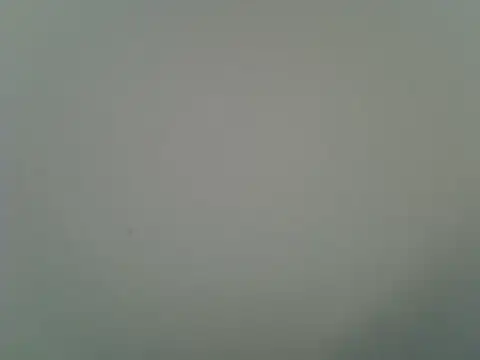 Prettysirenn webcam