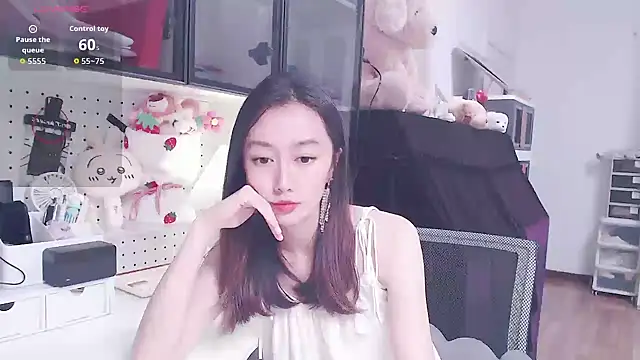 Elina-e3 webcam