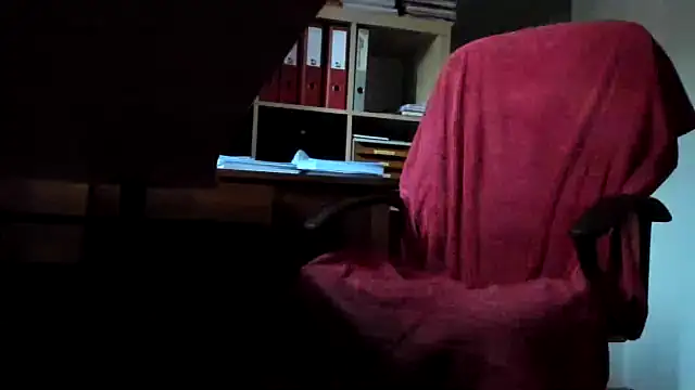 leccaleccafiga webcam
