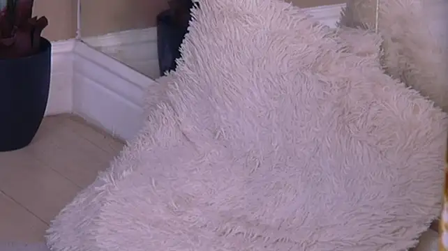 Bailey_Rush webcam