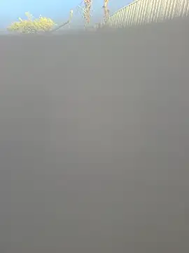 gymcock39 webcam