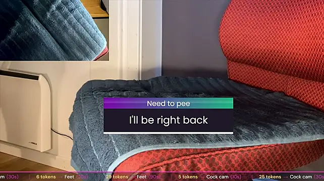 brsrkr webcam