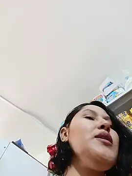 LaSelecta webcam