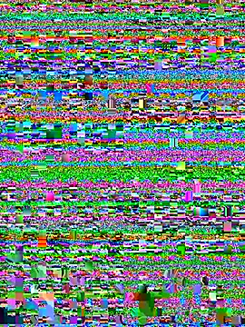 blondi2077 webcam