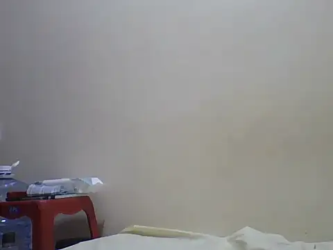 Swt_pie webcam