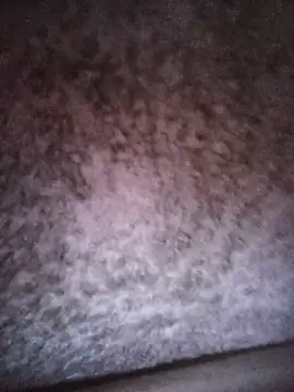 TinyMelanin webcam