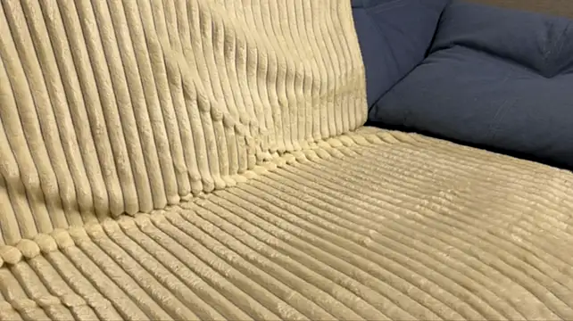 pewpewpiu webcam