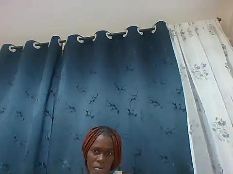 Poppet-dime webcam