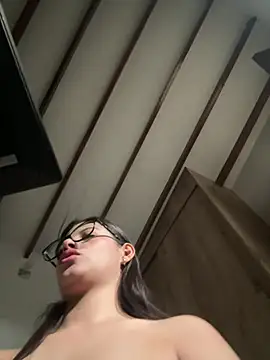 Arilw webcam