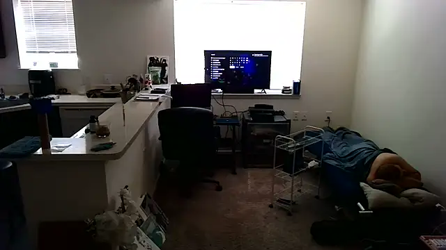 Q1357q webcam