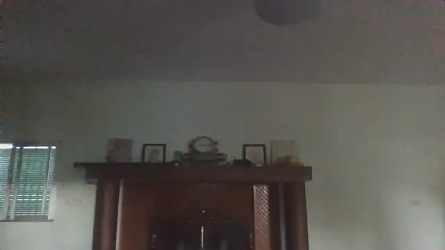 llopaco webcam
