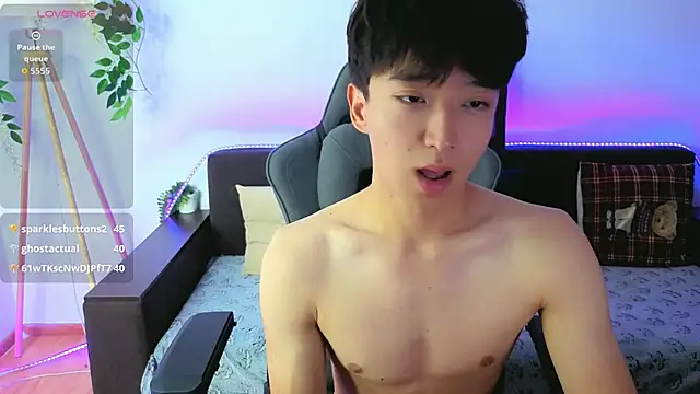 DianInav webcam