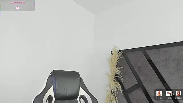 IrisFyre webcam