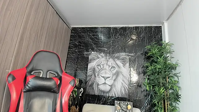 Erik_castle webcam
