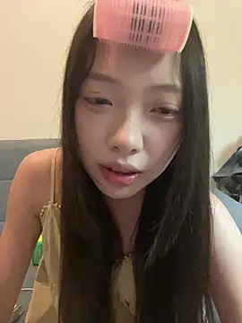 YY-1-1-1 webcam