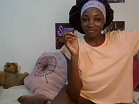 Eira01 webcam