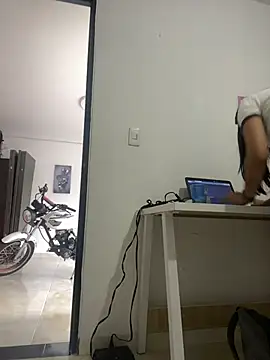 Aria-1212 webcam