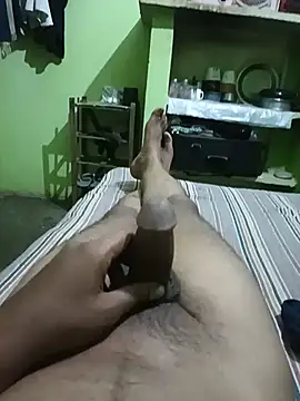 Rasmalayi webcam