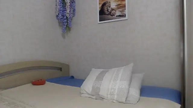 SheLion webcam