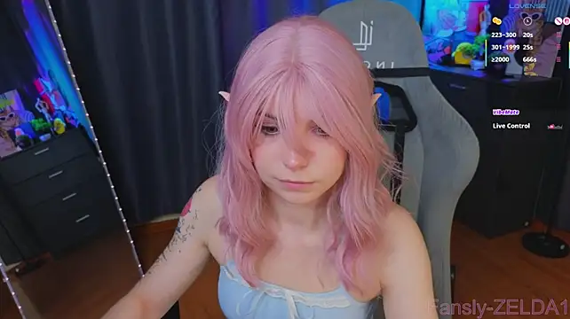 zelda_1 webcam