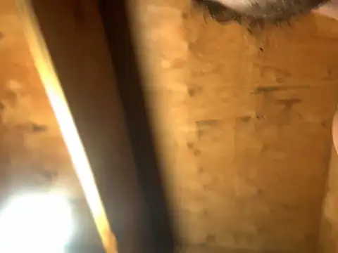 Ldnick69 webcam
