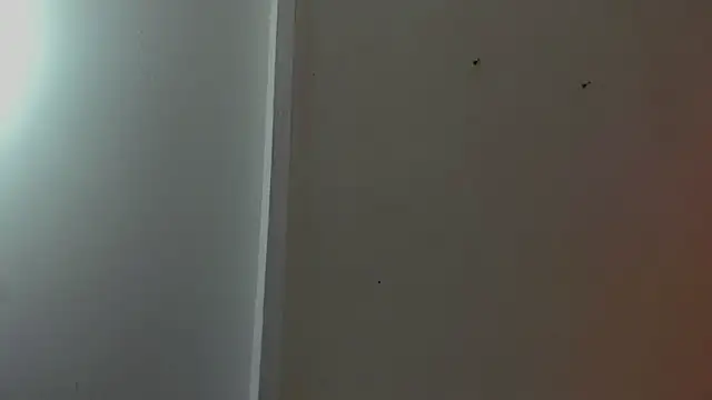 sofi_linares1 webcam