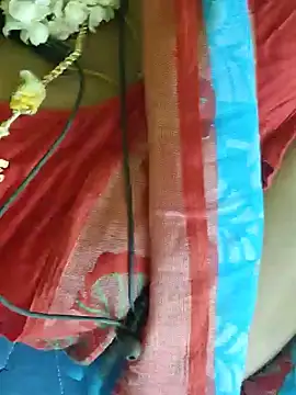 Tamil_Mithra webcam