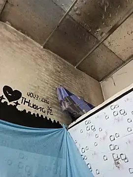 Sana-vn webcam