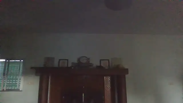 llopaco webcam