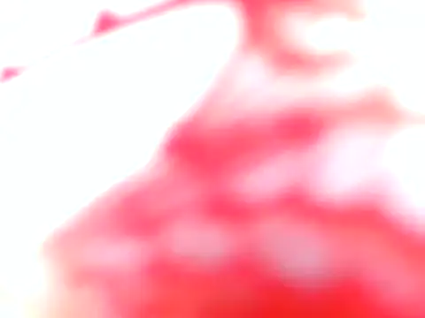 Bellaa25 webcam