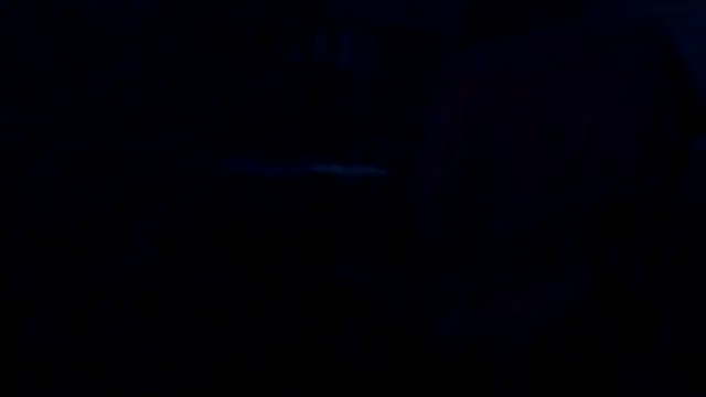 leccaleccafiga webcam