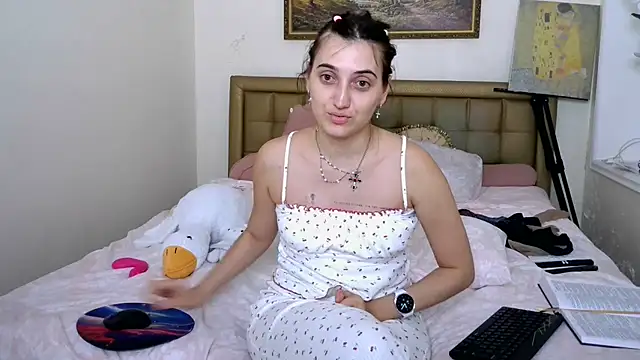 Iren webcam
